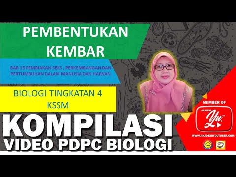 15.5 PEMBENTUKAN KEMBAR (BIOLOGI TINGKATAN 4 KSSM)