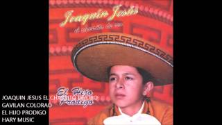 GAVILAN COLORAO COVER JOAQUIN JESUS