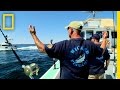 The Googan Shuffle National Geographic