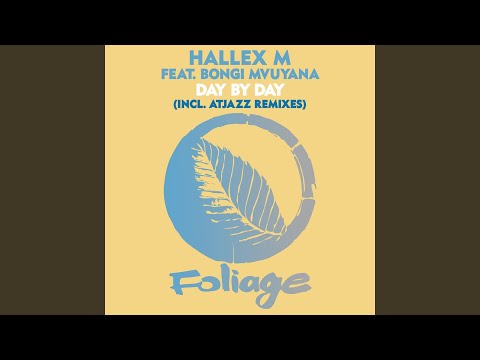 Day By Day (Atjazz Instrumental Remix)