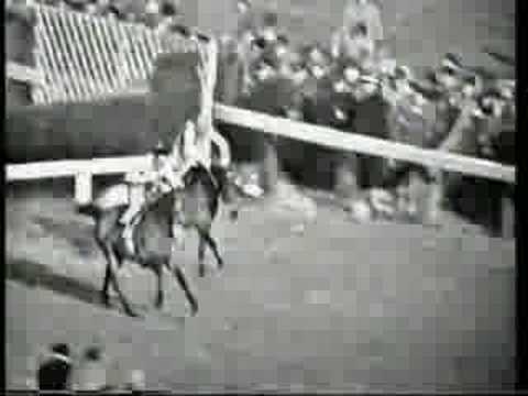 Arkle 1964 Cheltenham Gold Cup
