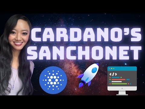 Cardano's SanchoNet is Making Community Governance Accessible For All!