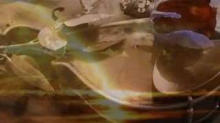 Amy Macdonald - Your  time will come- [ MeEGaAnN2010 ]
