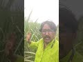 Balumama Bakari Balumamabhaknuk