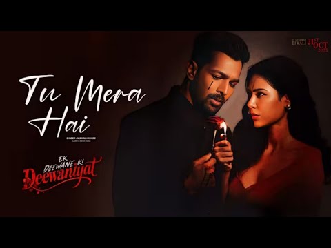 Tu Mera Hai (Lyrics) | Ek Deewane Ki Deewaniyat | Harshvardhan R & Sonam B | Mahmud khan |  Play DMF