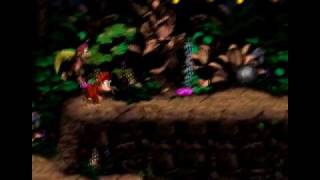 Let's Play Donkey Kong Country 2 - #14