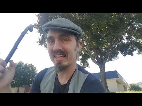 A Quick Glance at the Irish Shillelagh and Stick Fighting in General