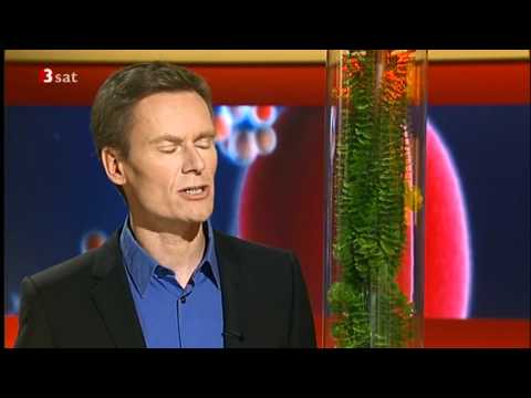 Krebsrisiko durch Radioaktivitaet - Asse - 26.11.2010