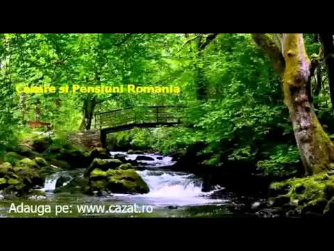 Cazare Varvoru de Jos, Dolj - Cazat.ro