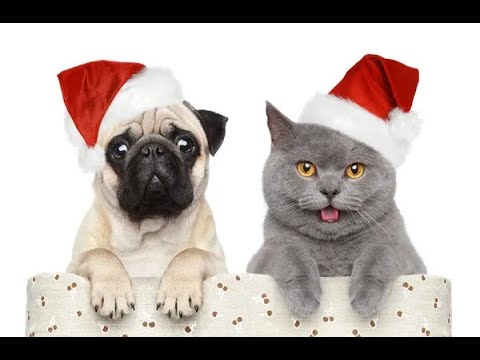 Jingle Bell Overture