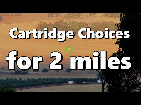 Cartridge Choices for a 2 mile shot