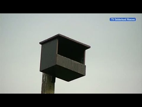 GLD Nieuws 3 juli 2012 - Nieuws