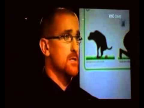 The Dog Dunit on Dragons Den 2013