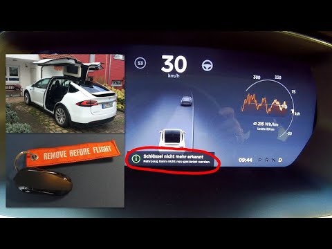 Tesla-Fan zeigt, warum Diebe selbst mit Schlüssel keine Chance haben, sein  Auto zu klauen