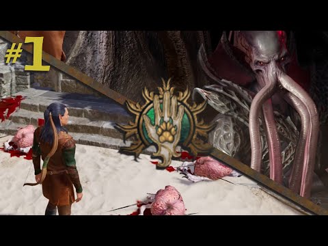 Baldur's Gate 3  |  Wood Elf Ranger  |   Part 1