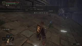 エルデンリング　Part06 魔法学園卒業はまだか？