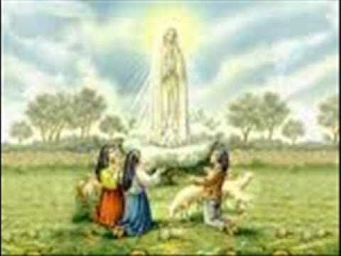 Sobre os braços da Azinheira