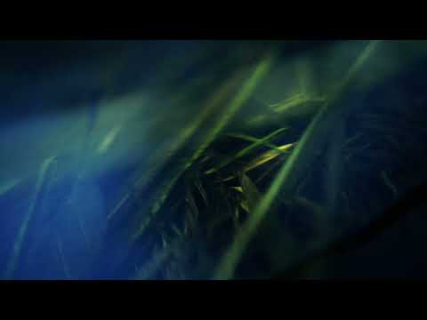 Maciej Meller - Hidden River