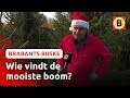 De jacht op de mooiste is geopend ? | Brabants Buske