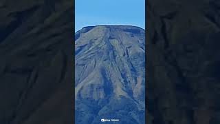 Download lagu Surga Di Dunia❗️Gunung Sindoro #shorts #fyp #viral mp3