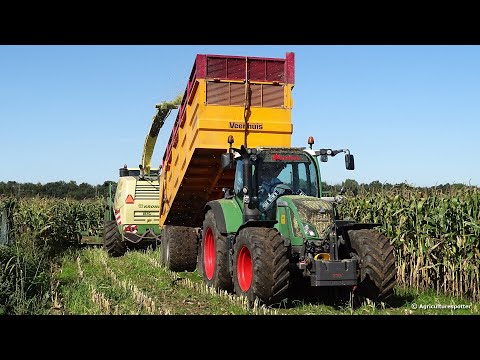 Mais Silage | Nikkels | Krone BiG X 850 + New Holland + Fendt + Claas | 2019