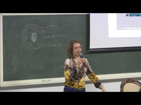 Porque Adoecemos - Michelle Matar (Palestra Espírita)