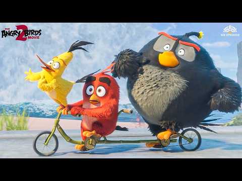 The Angry Birds Movie 2 | Birds & Pigs Discover Eagle Island 🏝️| Hindi Dubbed Comedy Cartoon Movie