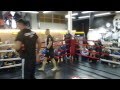 Open training Mirko Cro Cop Filipovic Open training Mirko Cro Cop Filipovic
