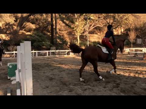 Horses and Snakes!! The perfect life for me!!