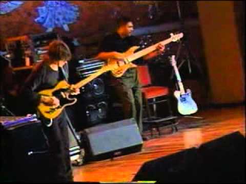 Mike Stern Solo's -- Song for Barry -- Brecker Brothers