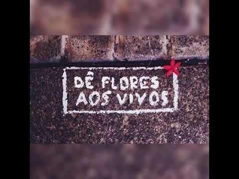 Melo de Mickey Mouse - Mark Holder