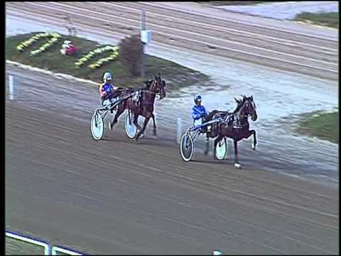 Trotto 19/11/2015 -  prova di riqualifica