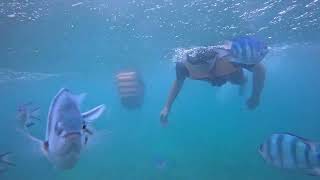 タイと日本の友人二人がニャチャンビーチで泳いだり泥浴をしたりしました。