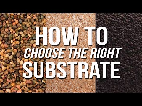 How to choose an aquarium substrate