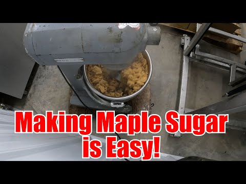 How to Make Maple Sugar