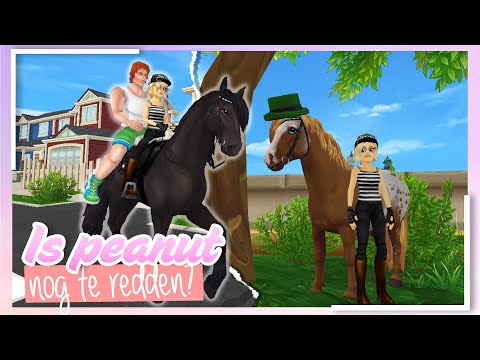 VERNIEUWDE FORT PINTA EN NIEUWE RACE! | Starstable online | wolfxjessy