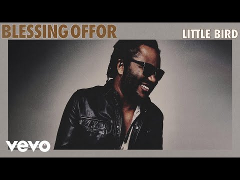 Thumbnail for Little Bird video