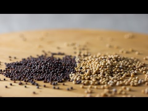 The 10 Health Benefits of Mustard! | Health Tips