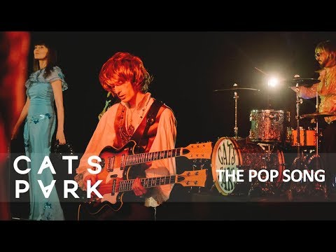 Cats Park - The Pop Song