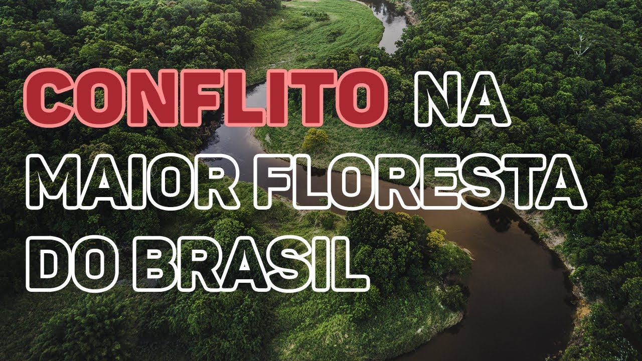 Amazônia Sem Lei: desmatamento, grilagem e queimadas na maior floresta do Brasil