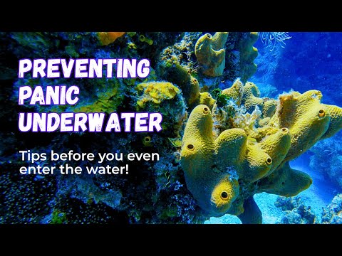 Diving with Anxiety | Tips for Staying Calm & Confident at Depth!