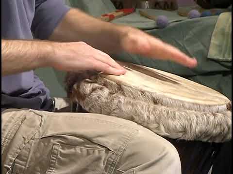 Hand Drums Fanga Rhythm 1 - Moderate