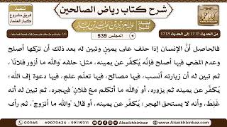 صورة المجلس 539 [‌‌316 - باب ندب من حلف على يمين فرأى غيرها خيرا منْها ..] الشيخ عبد العزيز بن باز