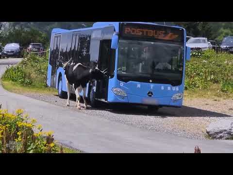 Aufm Land wird man vergessen - der Song | extra 3