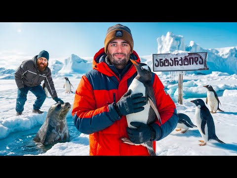 ანტარქტიდა - ხელუხლებელი სამყარო