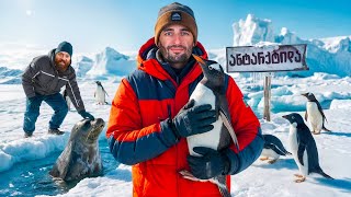 ანტარქტიდა - ხელუხლებელი სამყარო