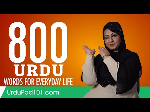 800 Urdu Words for Everyday Life - Basic Vocabulary #40