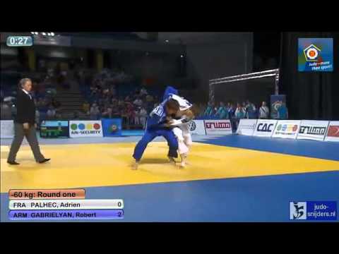 Judo 2013 European Championships U18 Tallinn: Palhec (FRA) - Gabrielyan (ARM) [-60kg]
