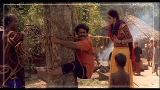 ഹള്ളിക്കാരുടെ മുന്നിൽ തൊലിയുരിഞ്ഞ് കർത്തുമ്പി.. video