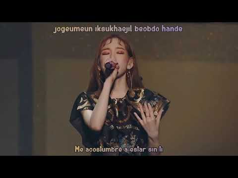 'S Taeyeon Concert Kihno  Time Lapse  Live Sub Español